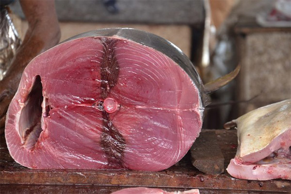 Co lze vařit z tuňáka