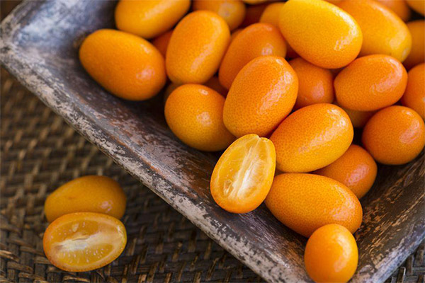 Interesting Kumquat Facts