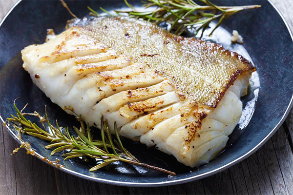 كيفية طهي سمك القد لذيذ