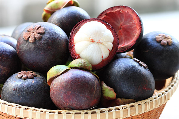 How to choose and store mangosteen