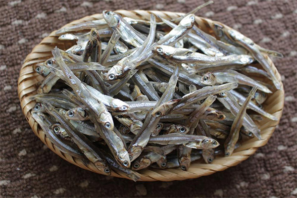As anchovas secas são úteis?