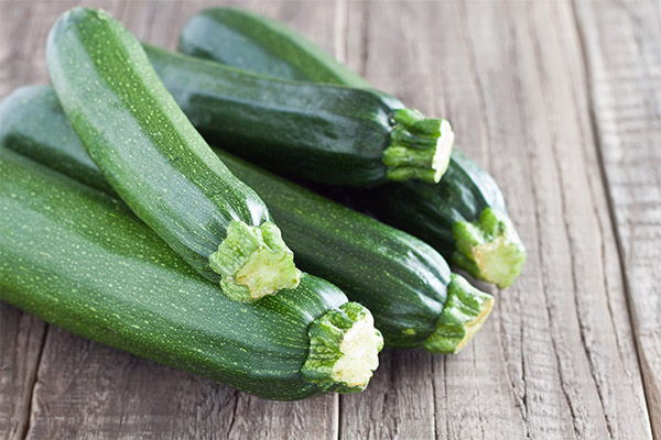 Användbara egenskaper hos zucchini