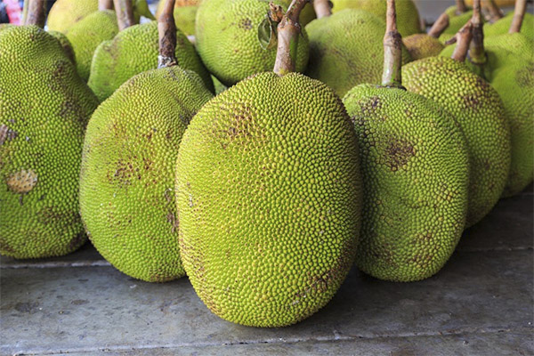 Beneficiile Jackfruit