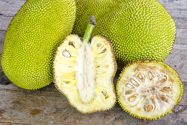 Fördelarna och skadorna av jackfruit