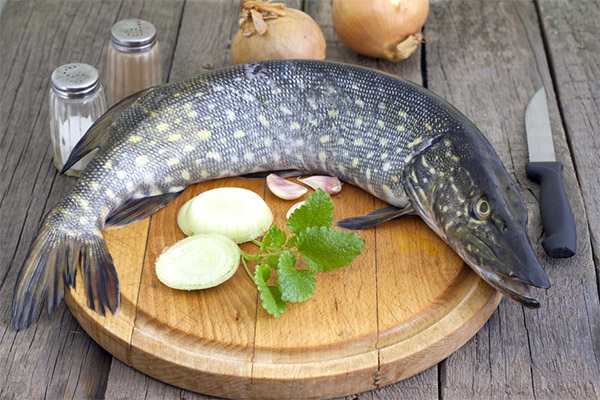 The benefits and harms of pike
