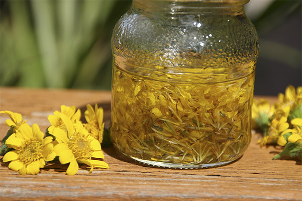Types of medicinal formulations with arnica