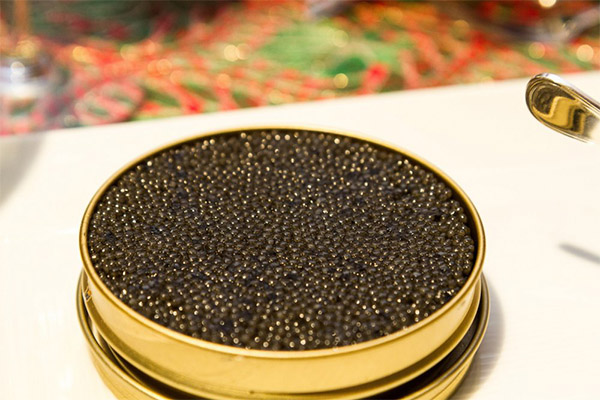 Qu'est-ce que le caviar d'esturgeon utile