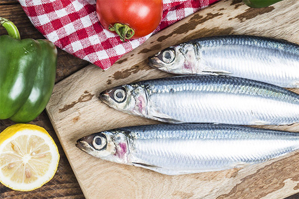 Ce se poate găti din sardine