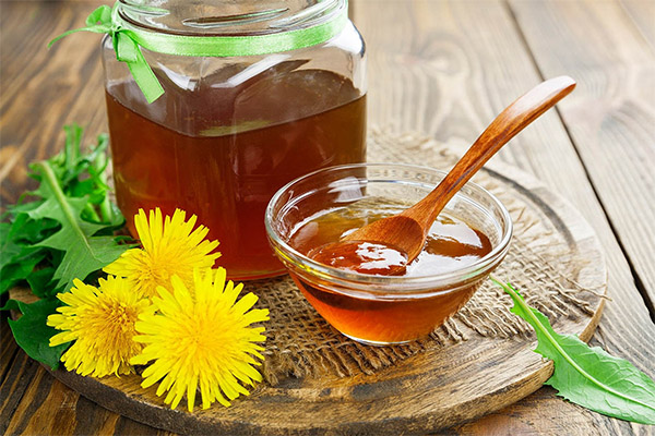 Hur man tar honung från maskrosor