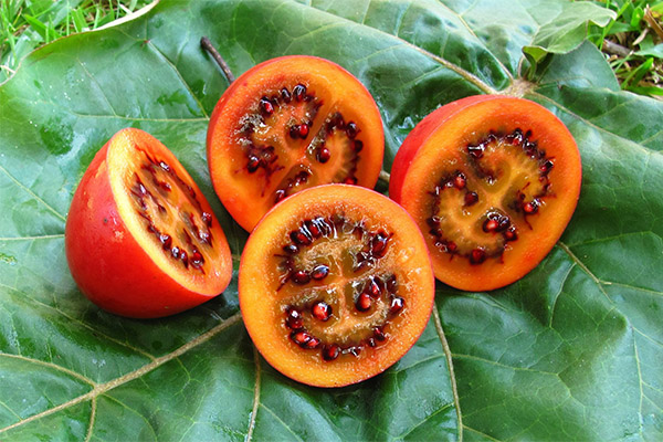 Hälsofördelar med tamarillofrukt