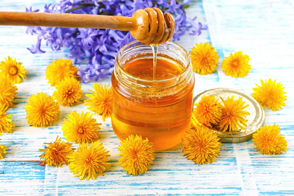 Användbara egenskaper hos maskros honung