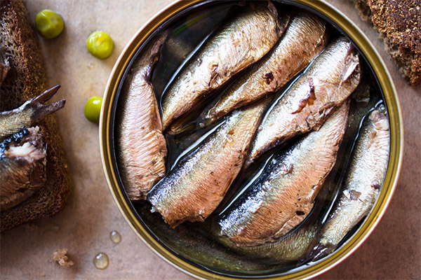 Fordelene og skadene ved konserverede sardiner