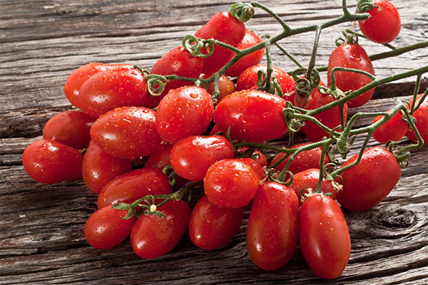 Výhody a škody na cherry rajčatech