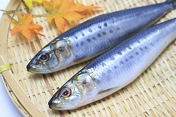 Výhody a poškození sardinek