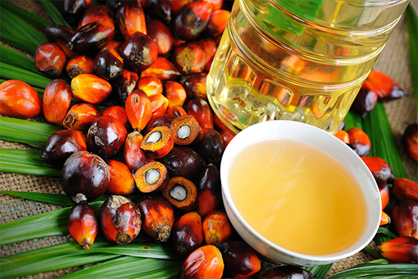 Jak palmový olej ovlivňuje tělo