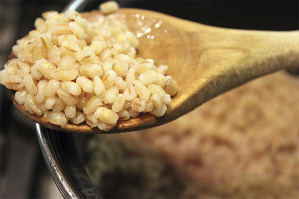 How pearl barley affects the human body