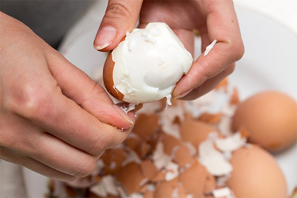 כיצד לנקות ביצים
