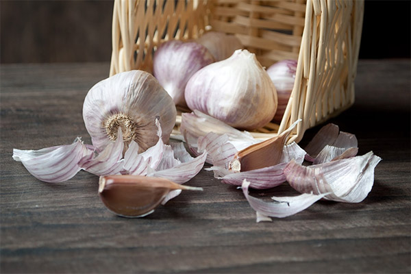 What harm from garlic