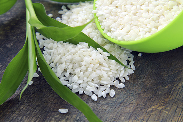 خصائص مفيدة للأرز