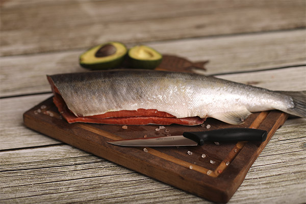 Što se može kuhati od ribe s coho lososom