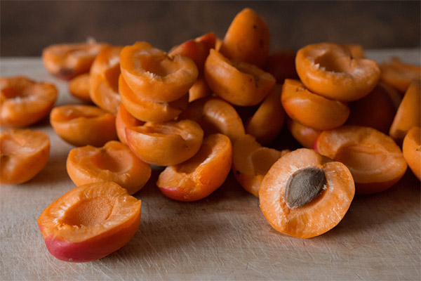 Cara mengeringkan biji aprikot