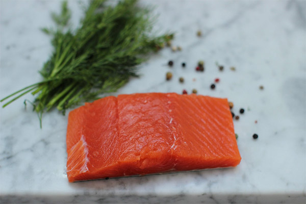Cara garam salmon coho