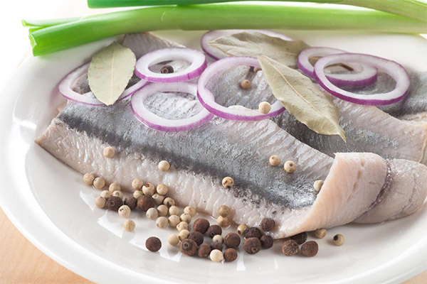 Cara pengambilan herring dengan cuka dan bawang
