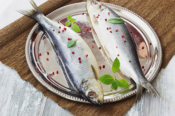 How to pickle herring in 2 hours